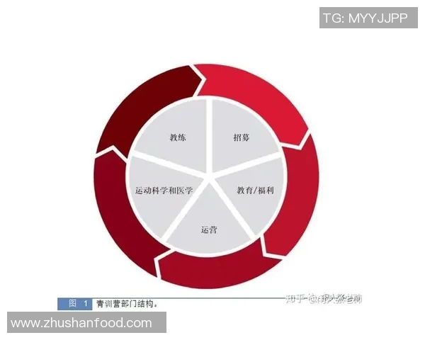 提升足球运动员身体素质的关键因素与训练方法探讨