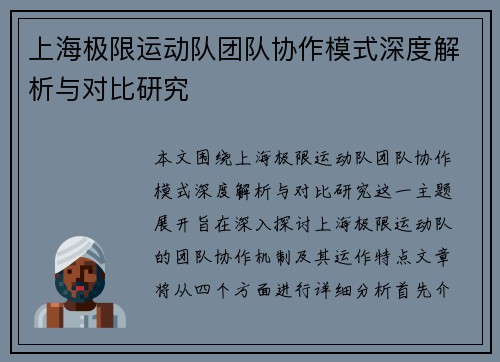 上海极限运动队团队协作模式深度解析与对比研究