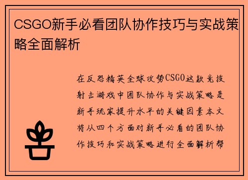 CSGO新手必看团队协作技巧与实战策略全面解析